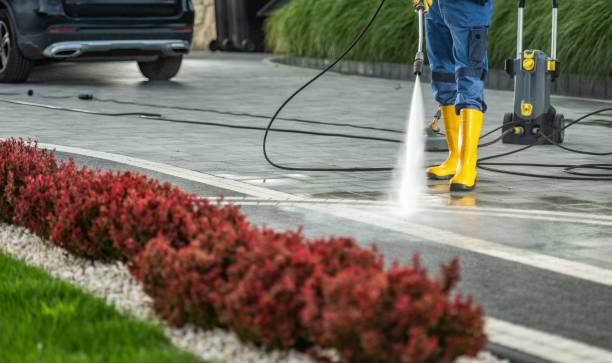 Best Dumpster Area Cleaning  in Brielle, NJ